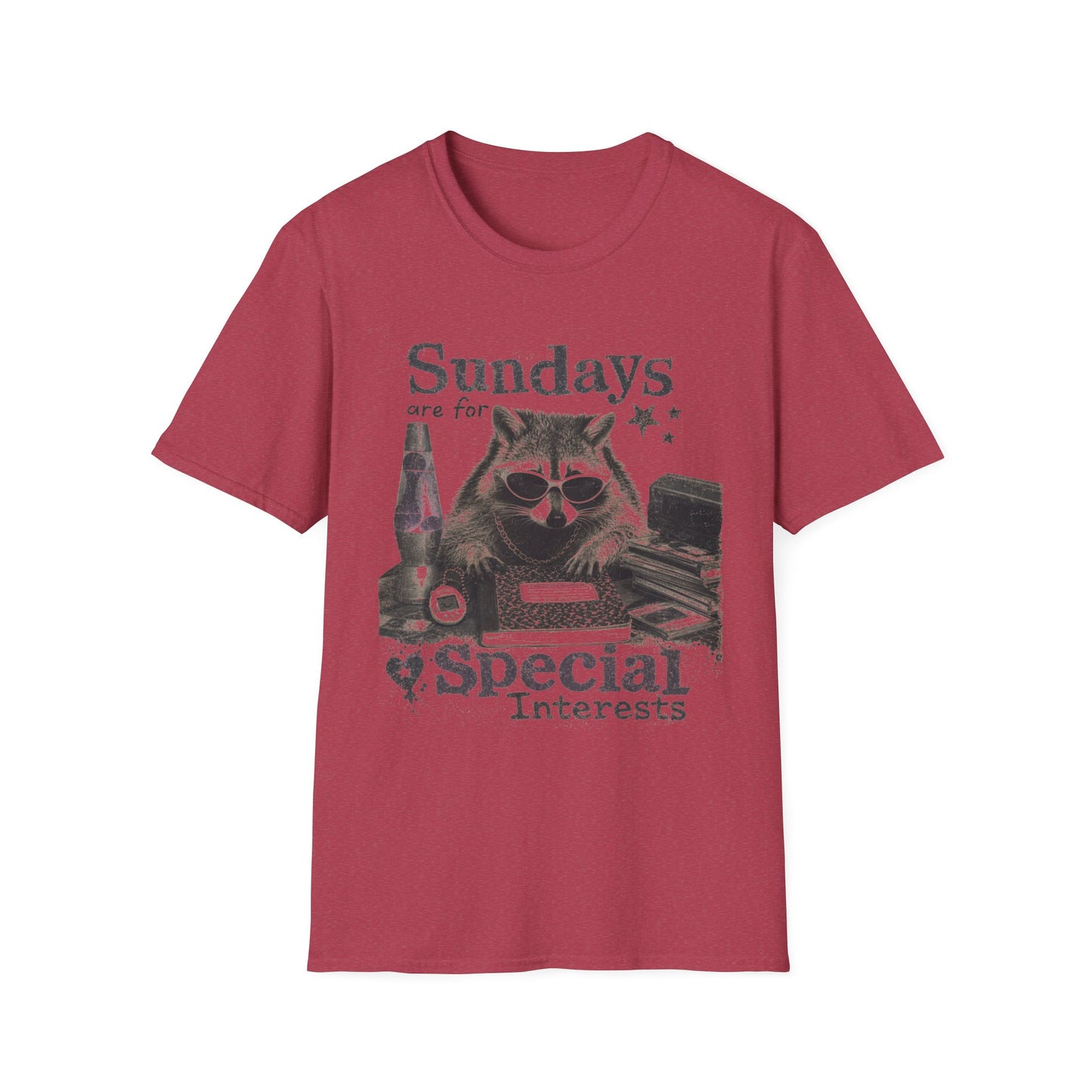 Sundays Are For Special Interests T-Shirt — Relaxed Raccoon Graphic Tee