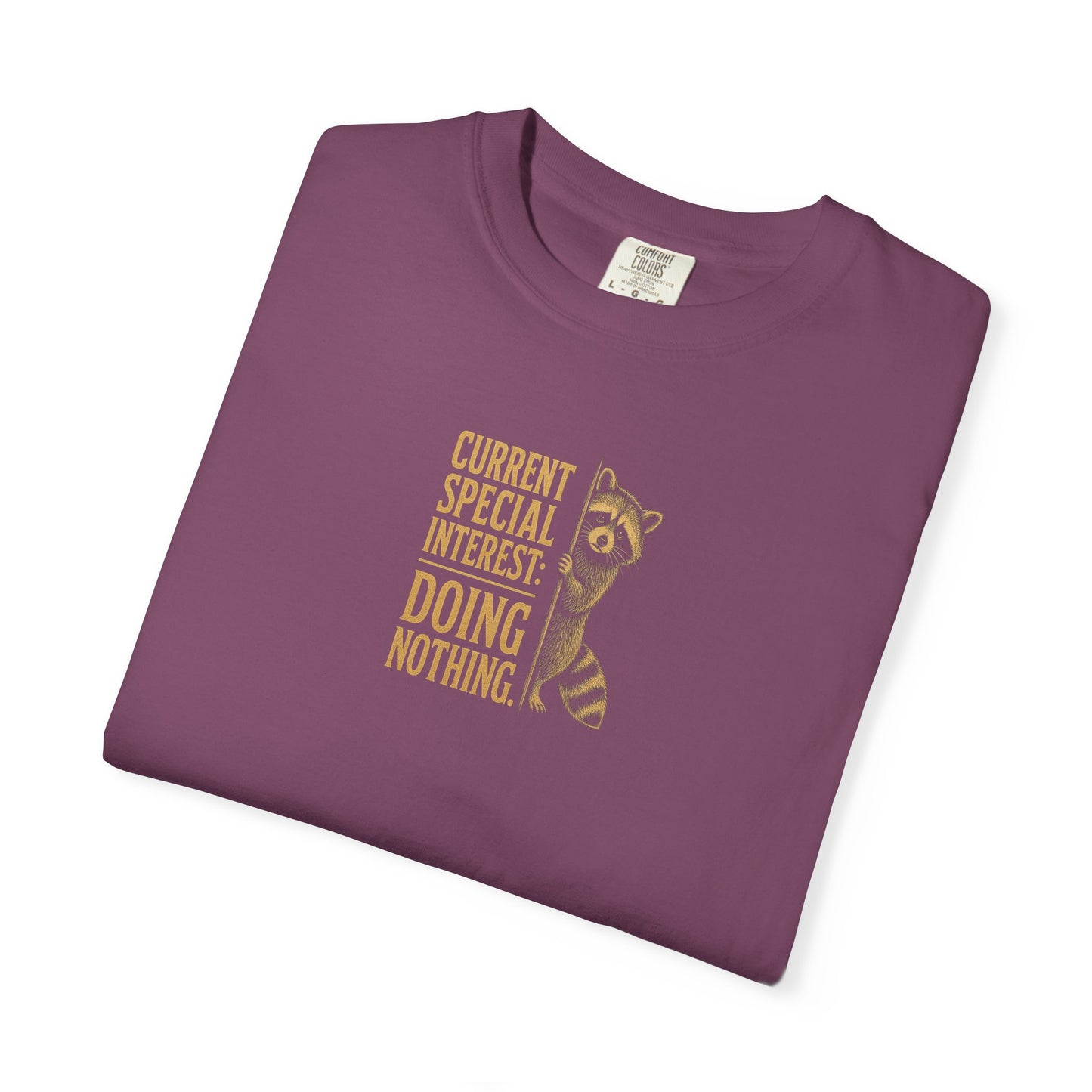'Current Special Interest: Doing Nothing' Raccoon Graphic Tee