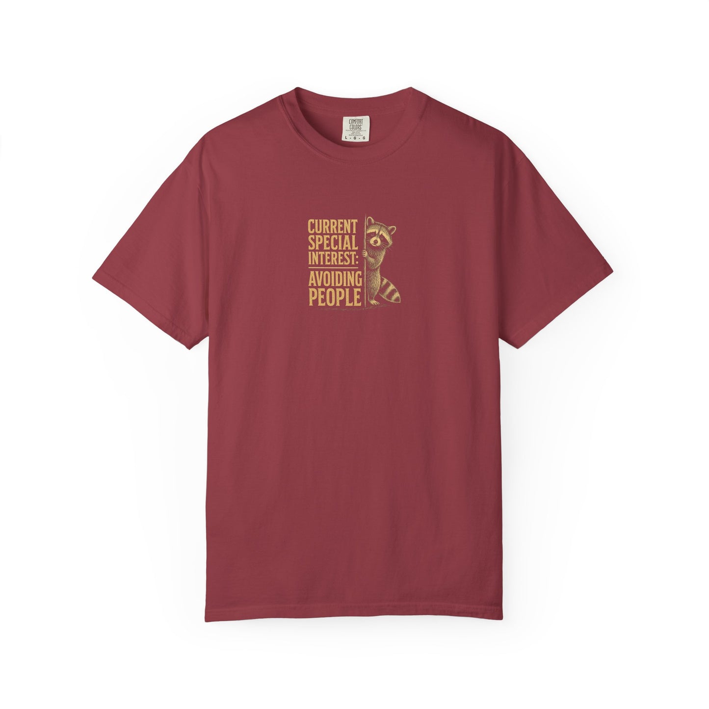 Avoiding People T-Shirt — Funny Introvert Raccoon Graphic Tee