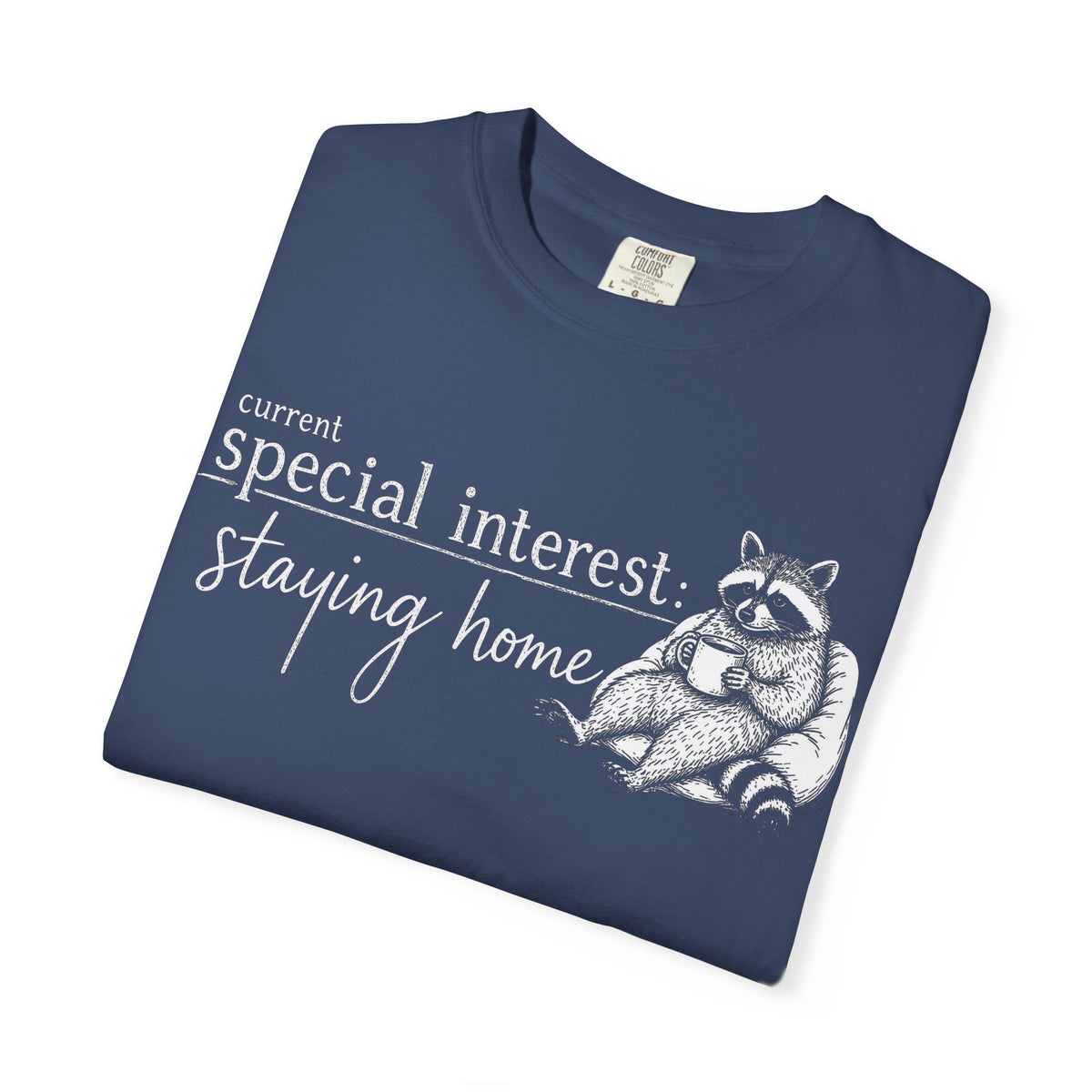 Staying Home Raccoon T-Shirt — "current special interest: staying home" Cozy Graphic Tee