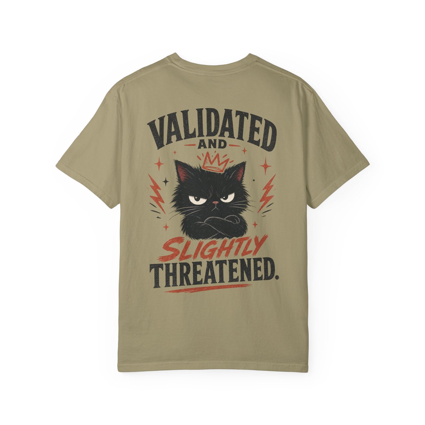 "Validated and Slightly Threatened" Cat Graphic T-Shirt