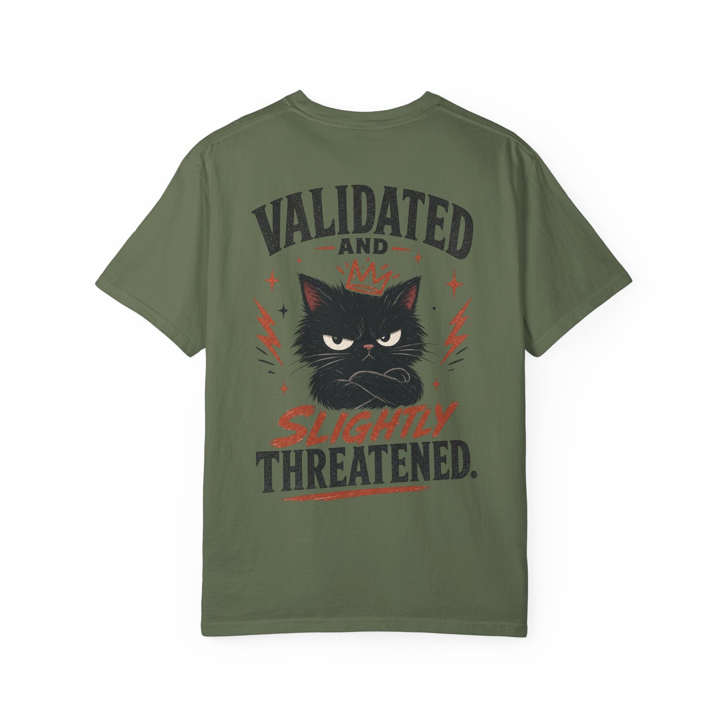 "Validated and Slightly Threatened" Cat Graphic T-Shirt