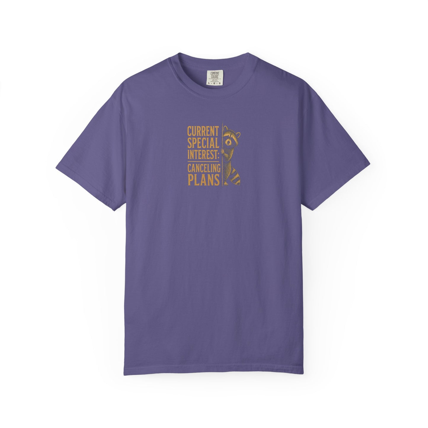 Funny Cancelled Plans T-Shirt — "Current Special Interest: Cancelling Plans" Raccoon Graphic Tee