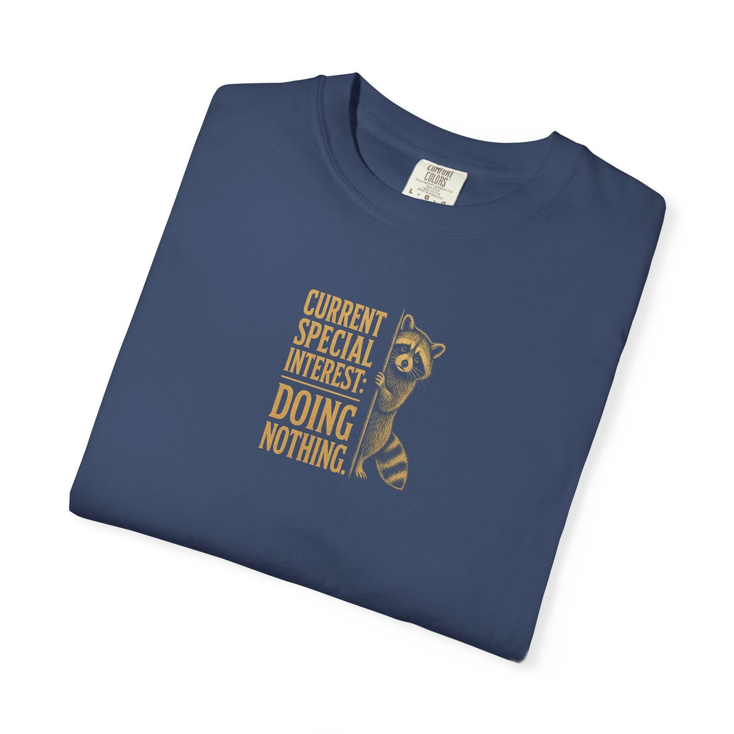 'Current Special Interest: Doing Nothing' Raccoon Graphic Tee