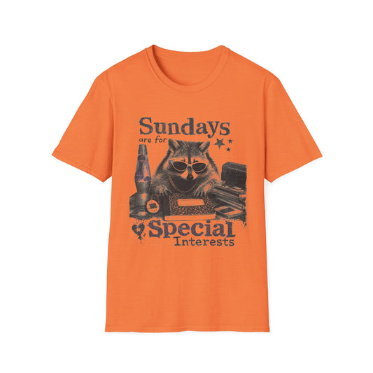 Sundays Are For Special Interests T-Shirt — Relaxed Raccoon Graphic Tee
