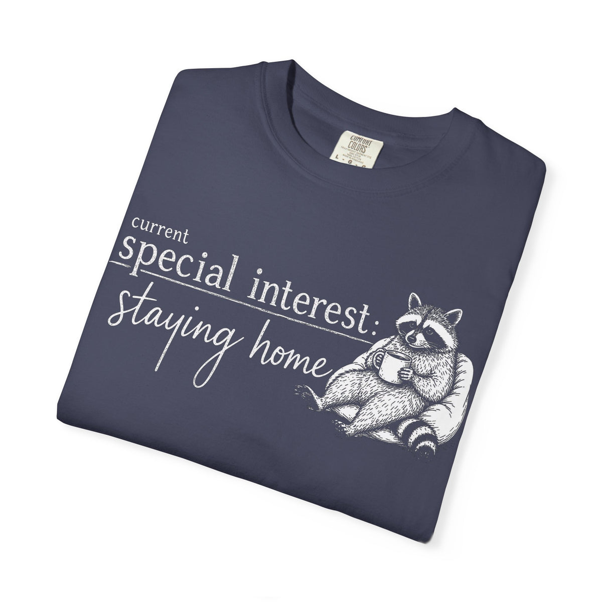 Staying Home Raccoon T-Shirt — "current special interest: staying home" Cozy Graphic Tee