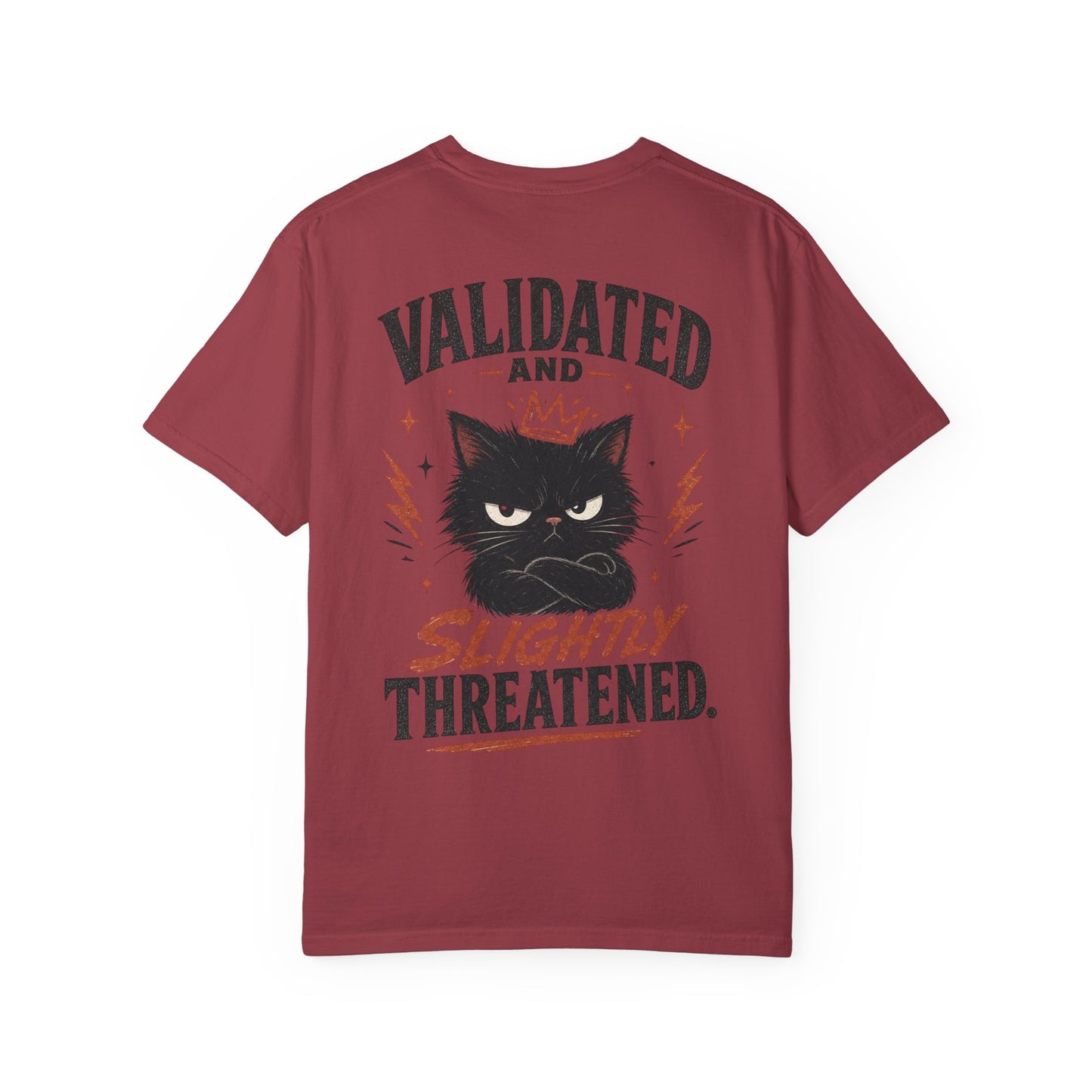 "Validated and Slightly Threatened" Cat Graphic T-Shirt