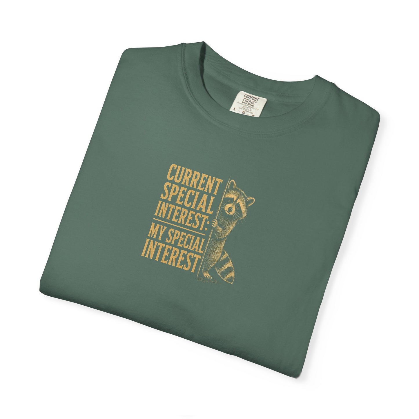 "Current Special Interest: My Special Interest" Raccoon Graphic Tee