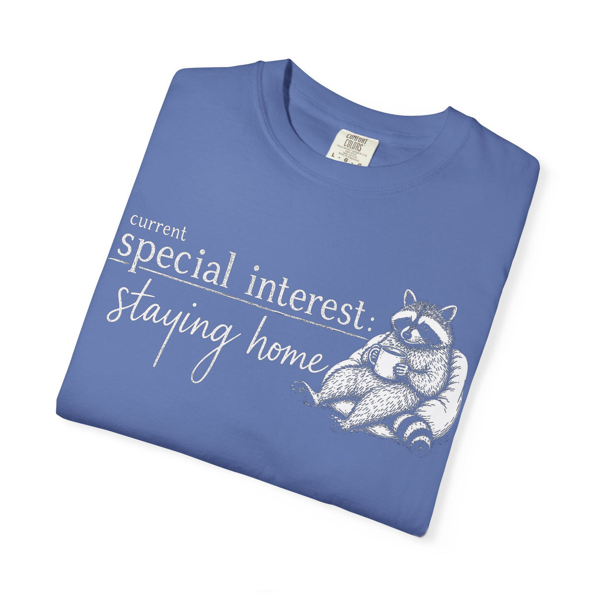 Staying Home Raccoon T-Shirt — "current special interest: staying home" Cozy Graphic Tee