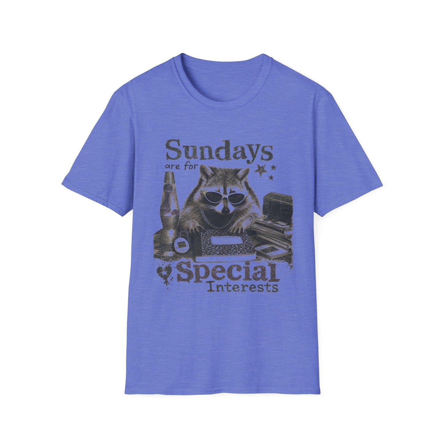 Sundays Are For Special Interests T-Shirt — Relaxed Raccoon Graphic Tee