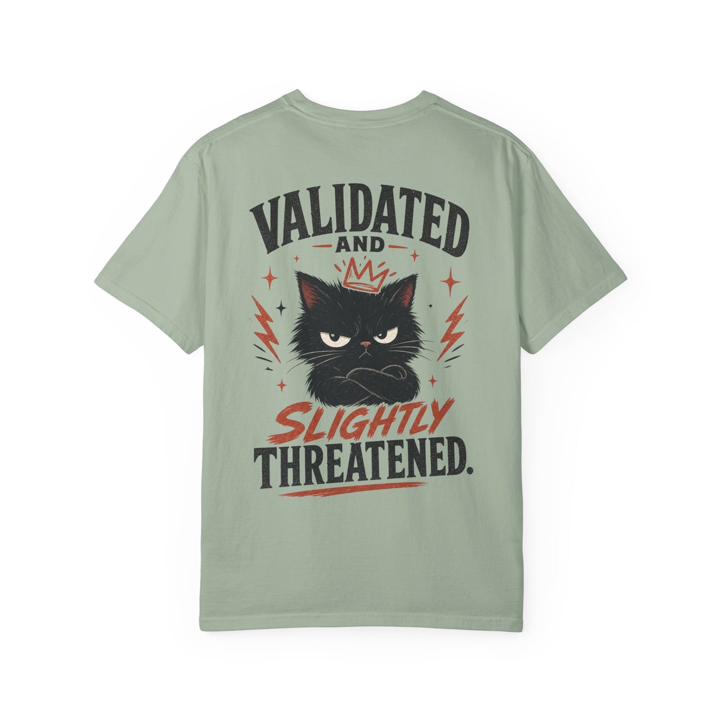 "Validated and Slightly Threatened" Cat Graphic T-Shirt