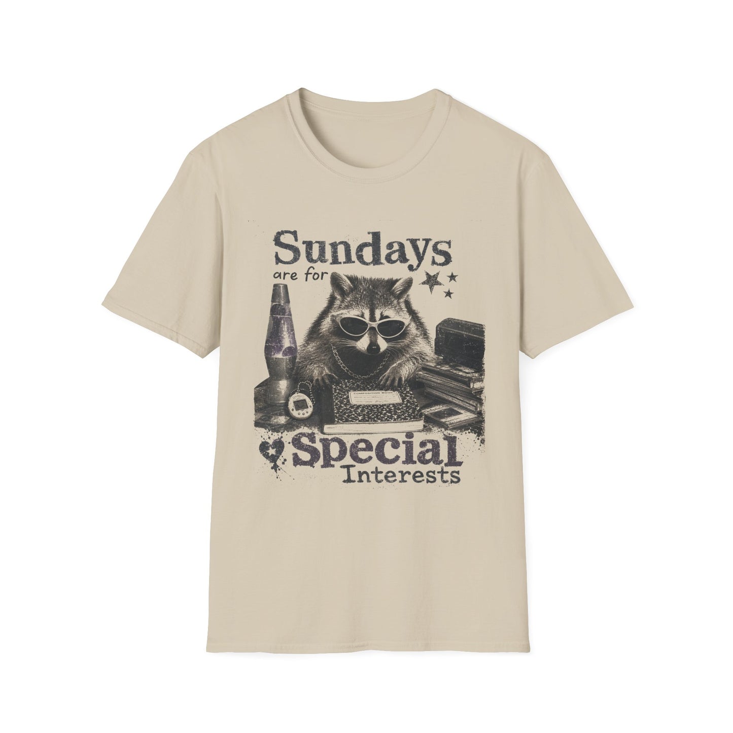 Sundays Are For Special Interests T-Shirt — Relaxed Raccoon Graphic Tee