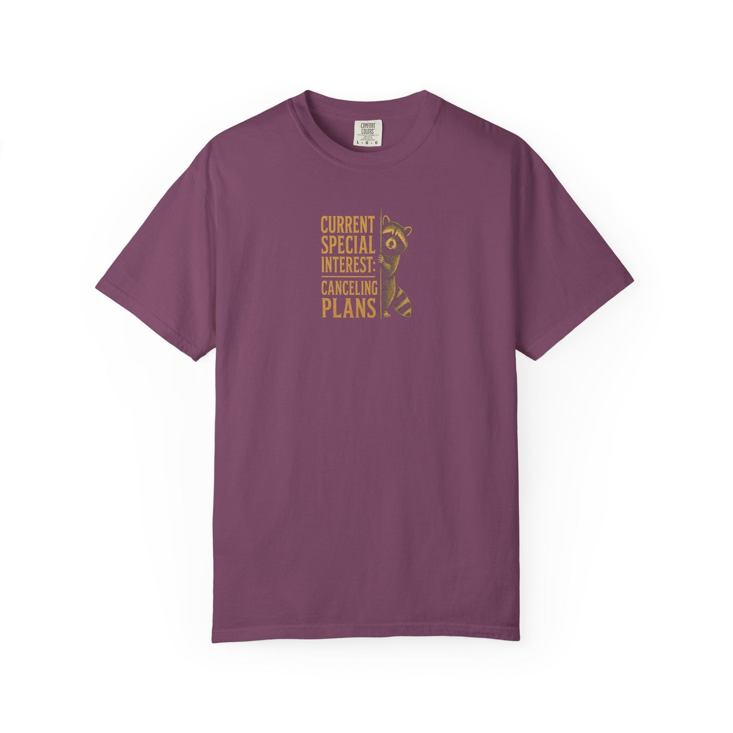 Funny Cancelled Plans T-Shirt — "Current Special Interest: Cancelling Plans" Raccoon Graphic Tee