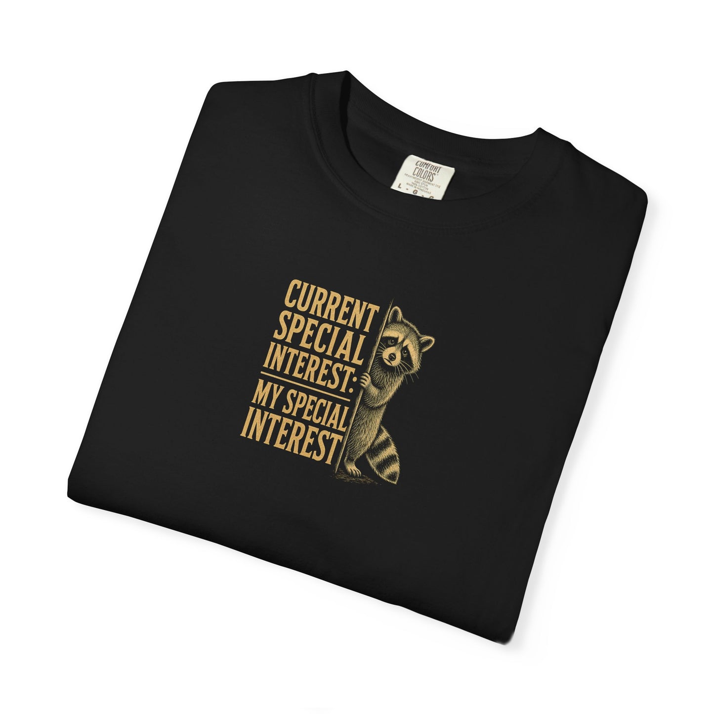 "Current Special Interest: My Special Interest" Raccoon Graphic Tee
