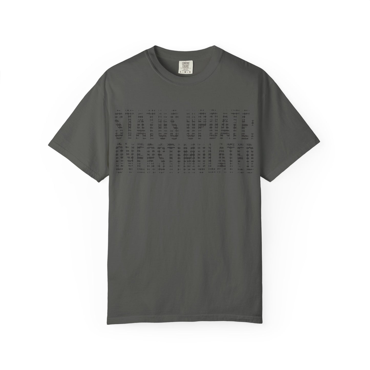 "Status Update: Overstimulated" subtle Graphic Tee