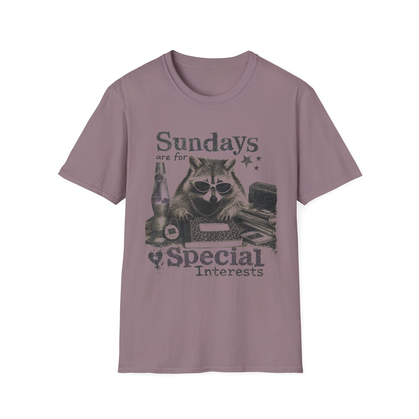 Sundays Are For Special Interests T-Shirt — Relaxed Raccoon Graphic Tee