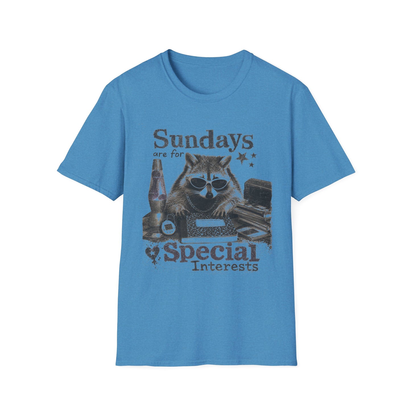 Sundays Are For Special Interests T-Shirt — Relaxed Raccoon Graphic Tee