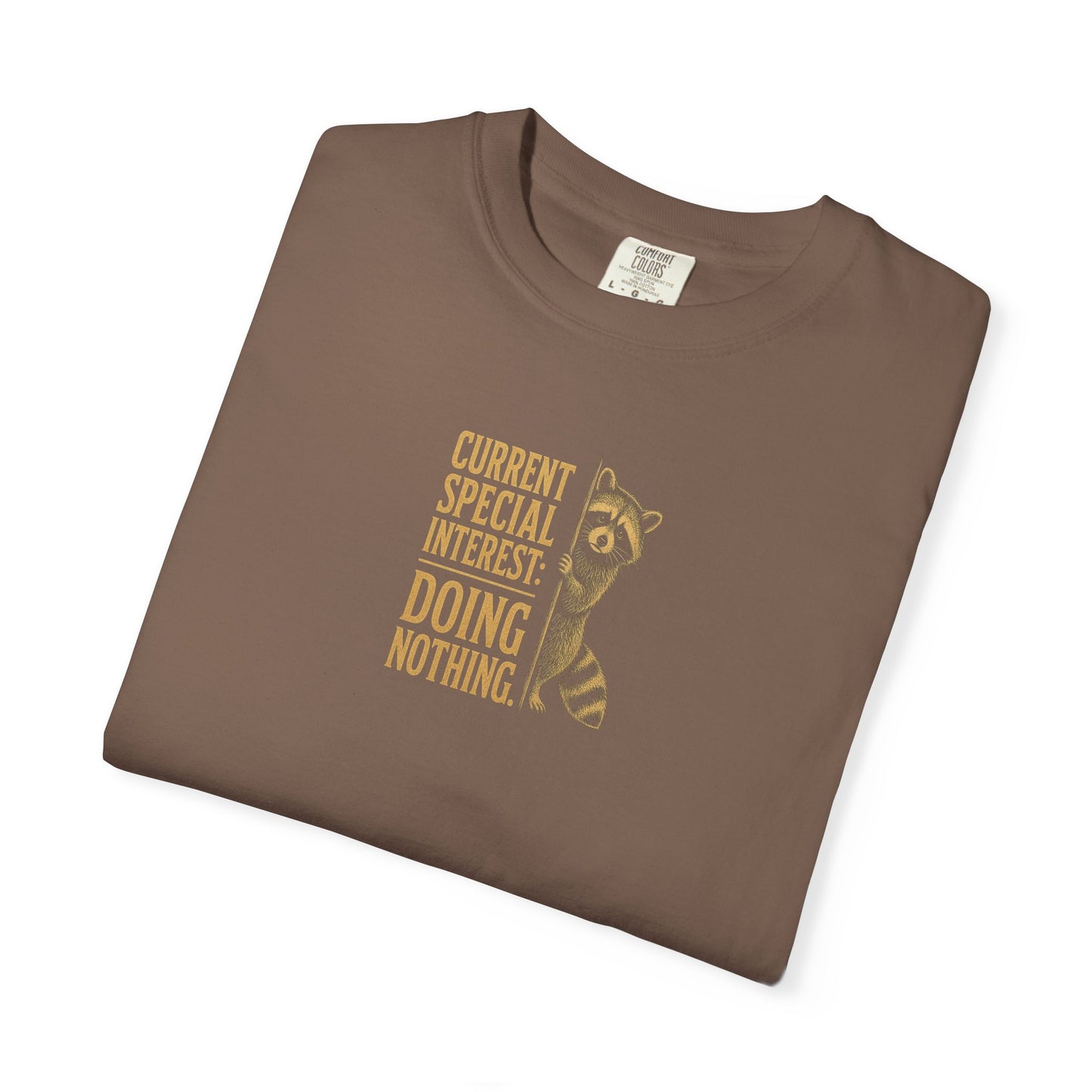 'Current Special Interest: Doing Nothing' Raccoon Graphic Tee