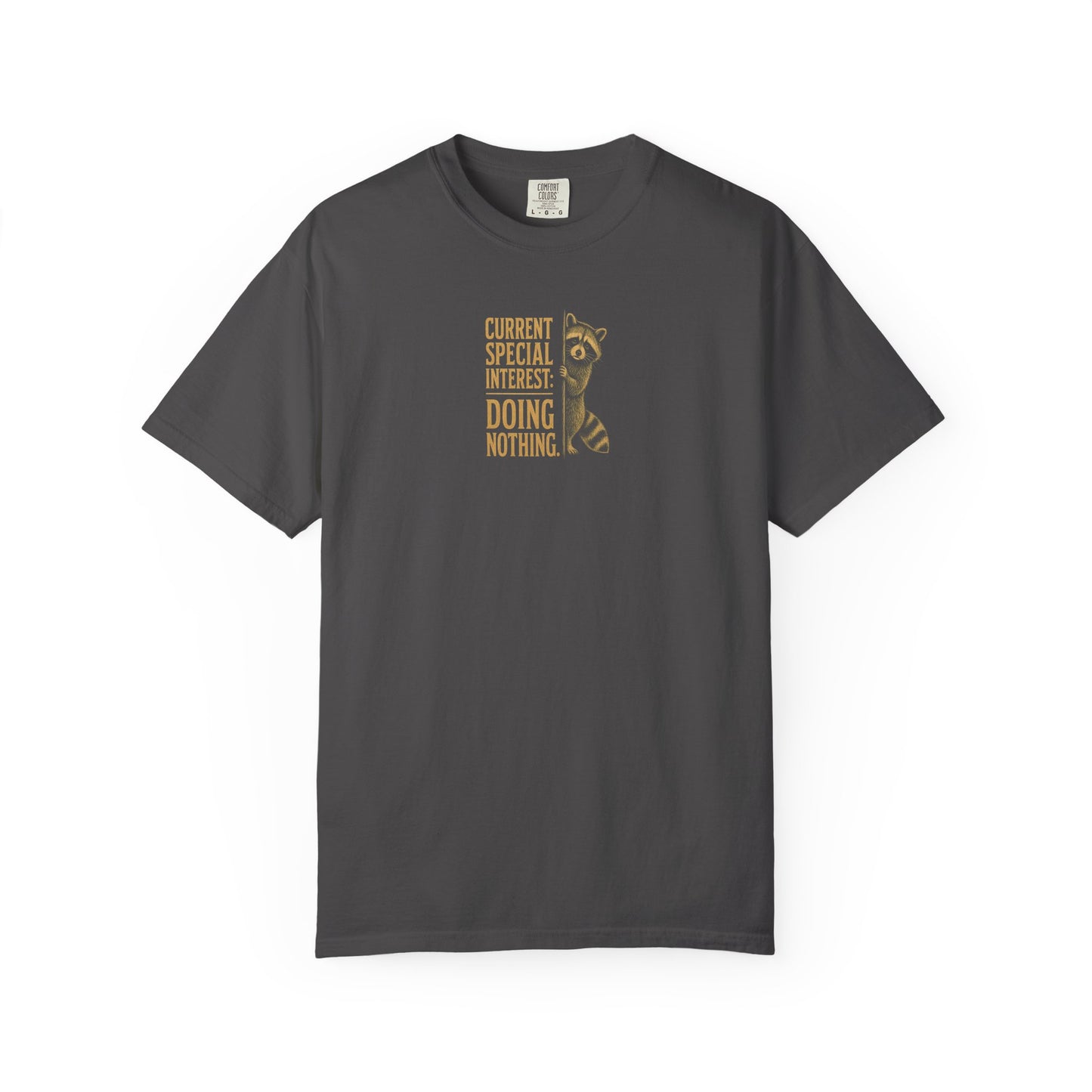 'Current Special Interest: Doing Nothing' Raccoon Graphic Tee