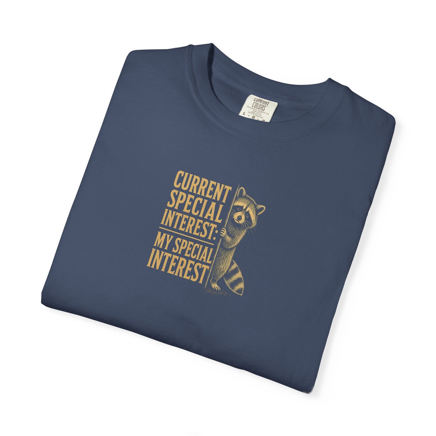 "Current Special Interest: My Special Interest" Raccoon Graphic Tee