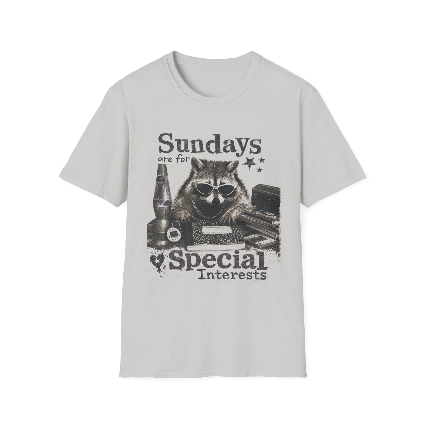 Sundays Are For Special Interests T-Shirt — Relaxed Raccoon Graphic Tee