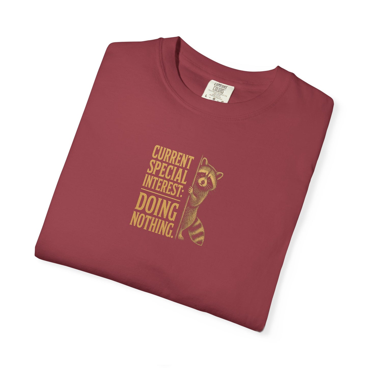 'Current Special Interest: Doing Nothing' Raccoon Graphic Tee
