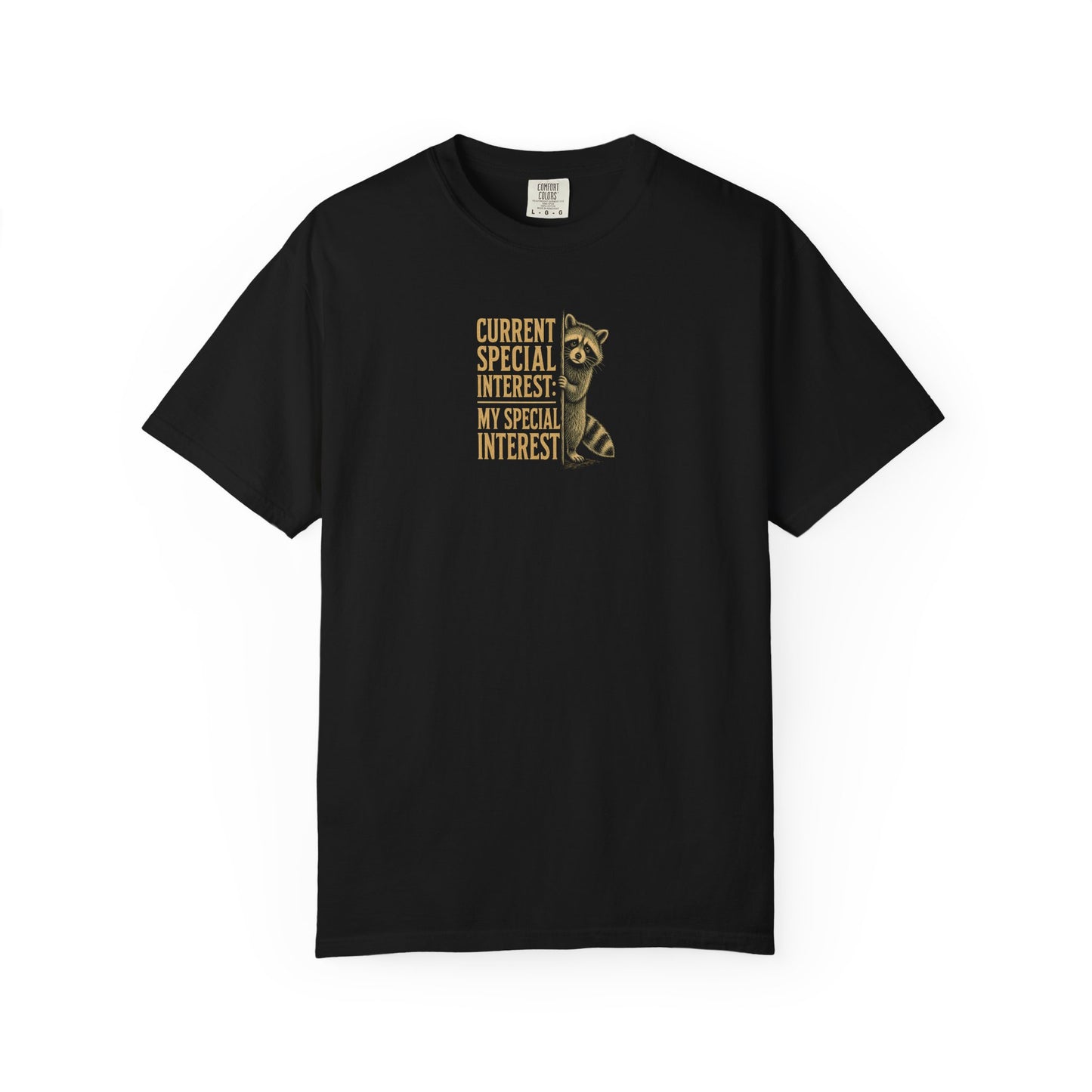 "Current Special Interest: My Special Interest" Raccoon Graphic Tee
