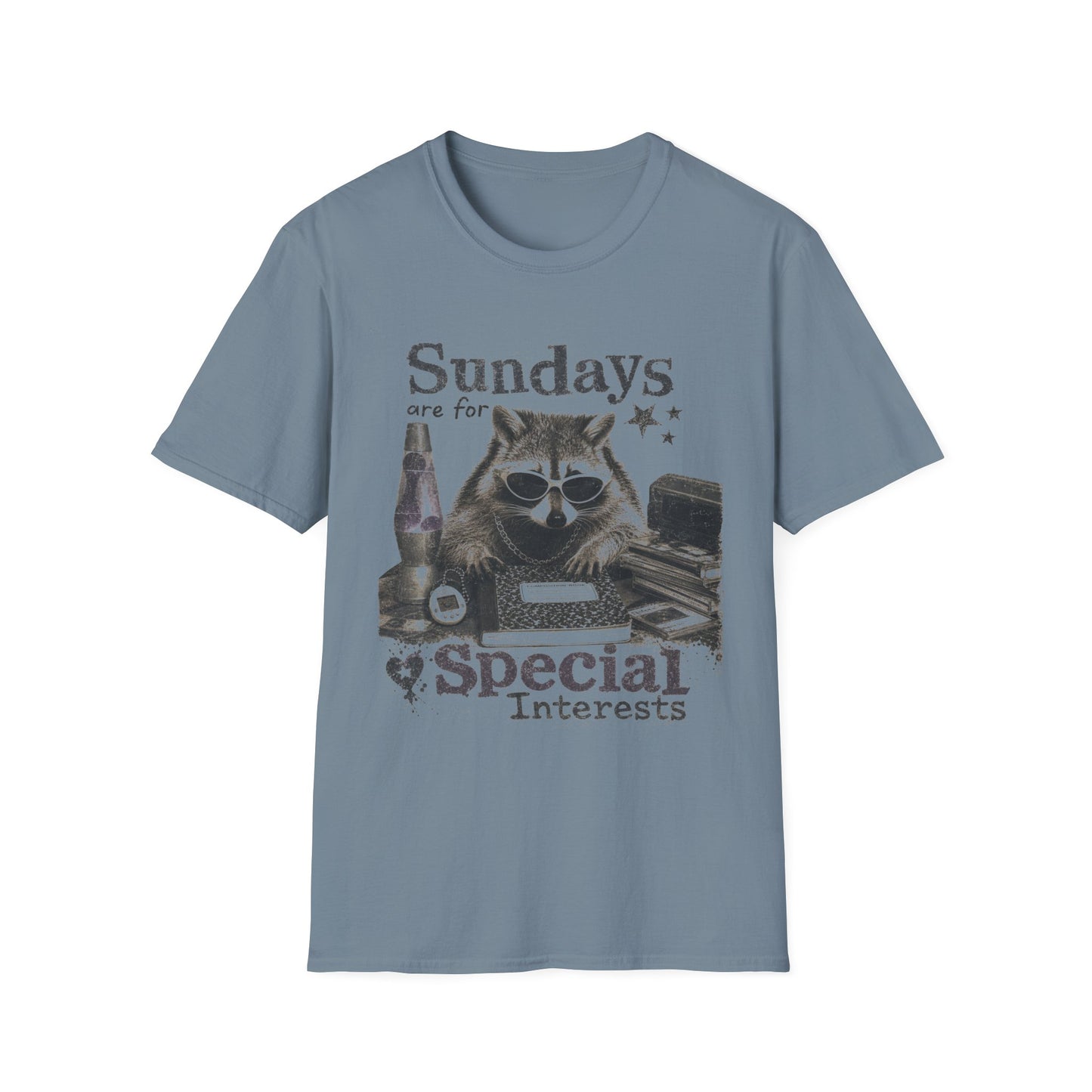 Sundays Are For Special Interests T-Shirt — Relaxed Raccoon Graphic Tee