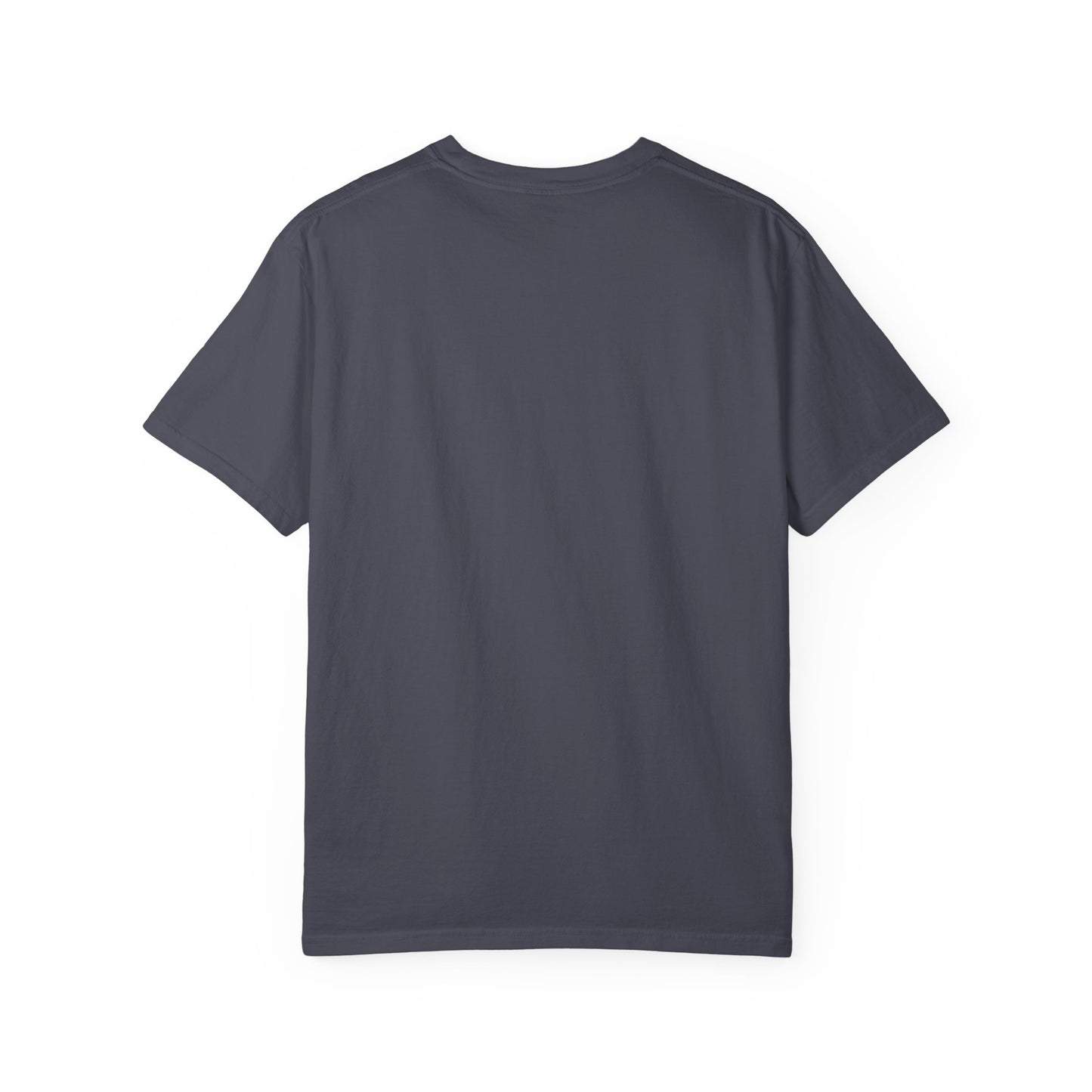 'Current Special Interest: Doing Nothing' Raccoon Graphic Tee