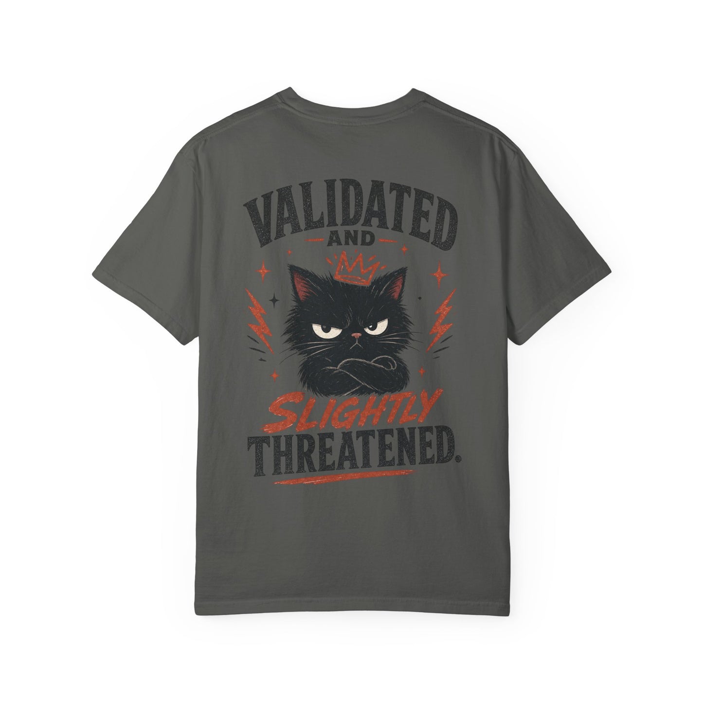 "Validated and Slightly Threatened" Cat Graphic T-Shirt