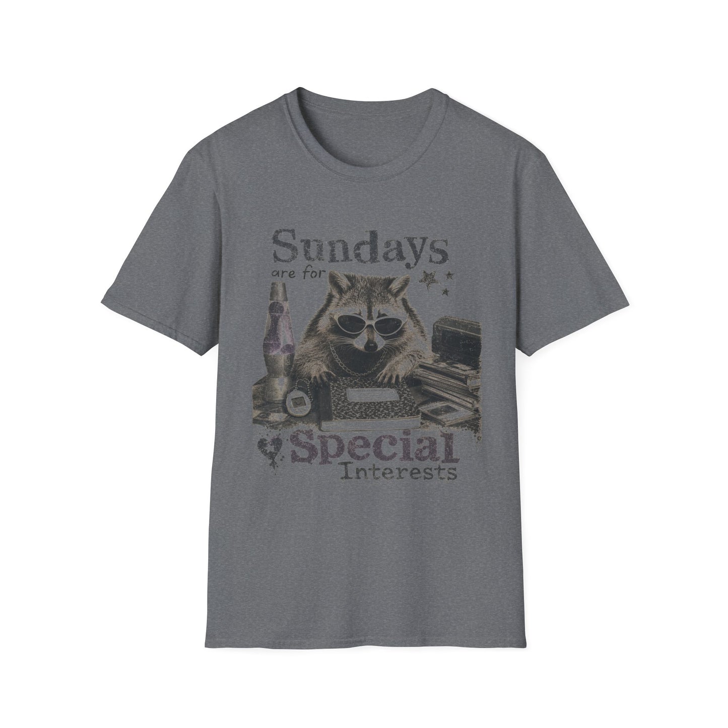 Sundays Are For Special Interests T-Shirt — Relaxed Raccoon Graphic Tee