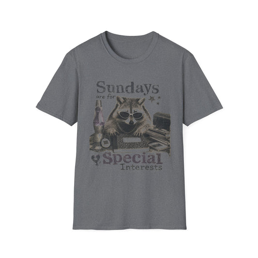 Sundays Are For Special Interests T-Shirt — Relaxed Raccoon Graphic Tee