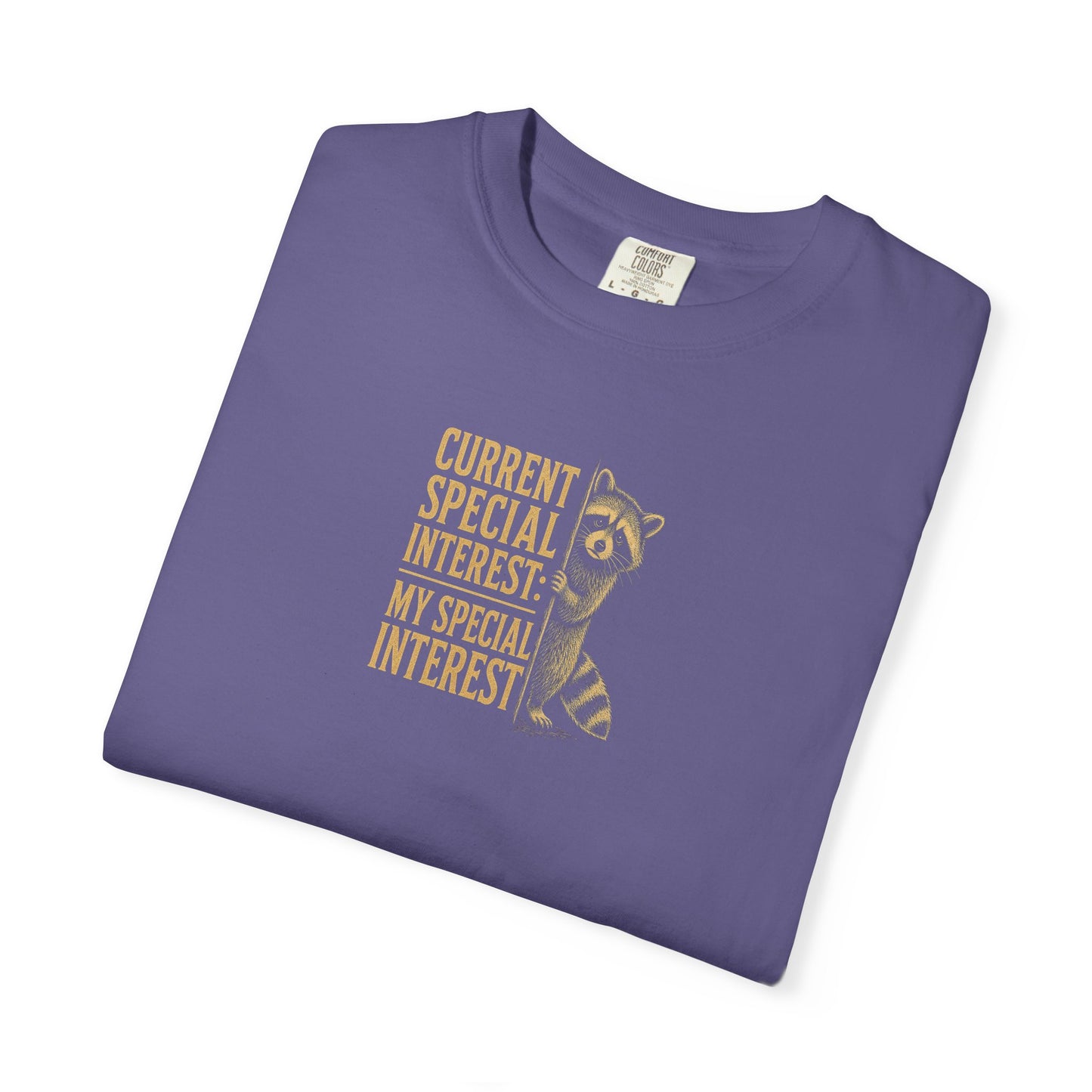 "Current Special Interest: My Special Interest" Raccoon Graphic Tee