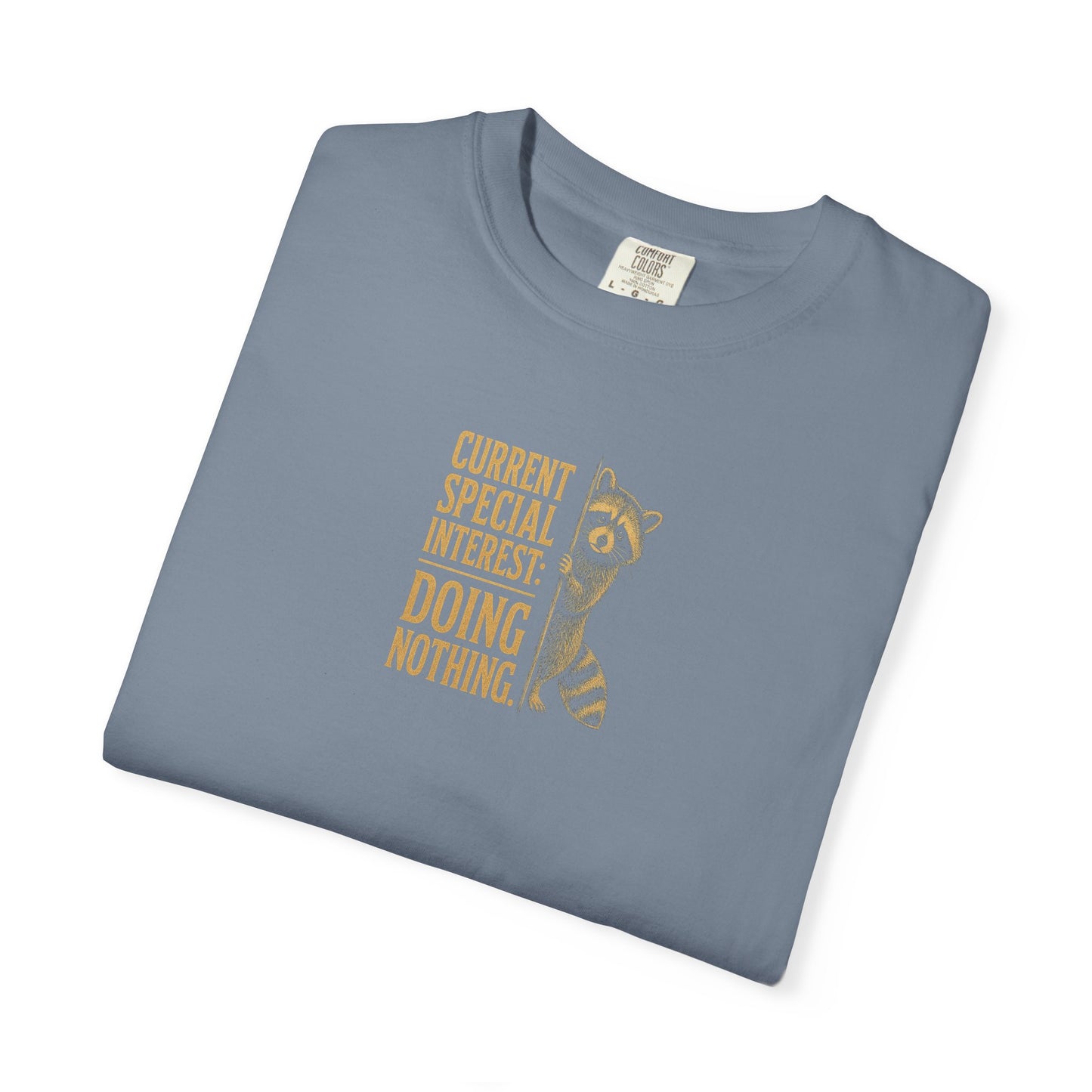 'Current Special Interest: Doing Nothing' Raccoon Graphic Tee