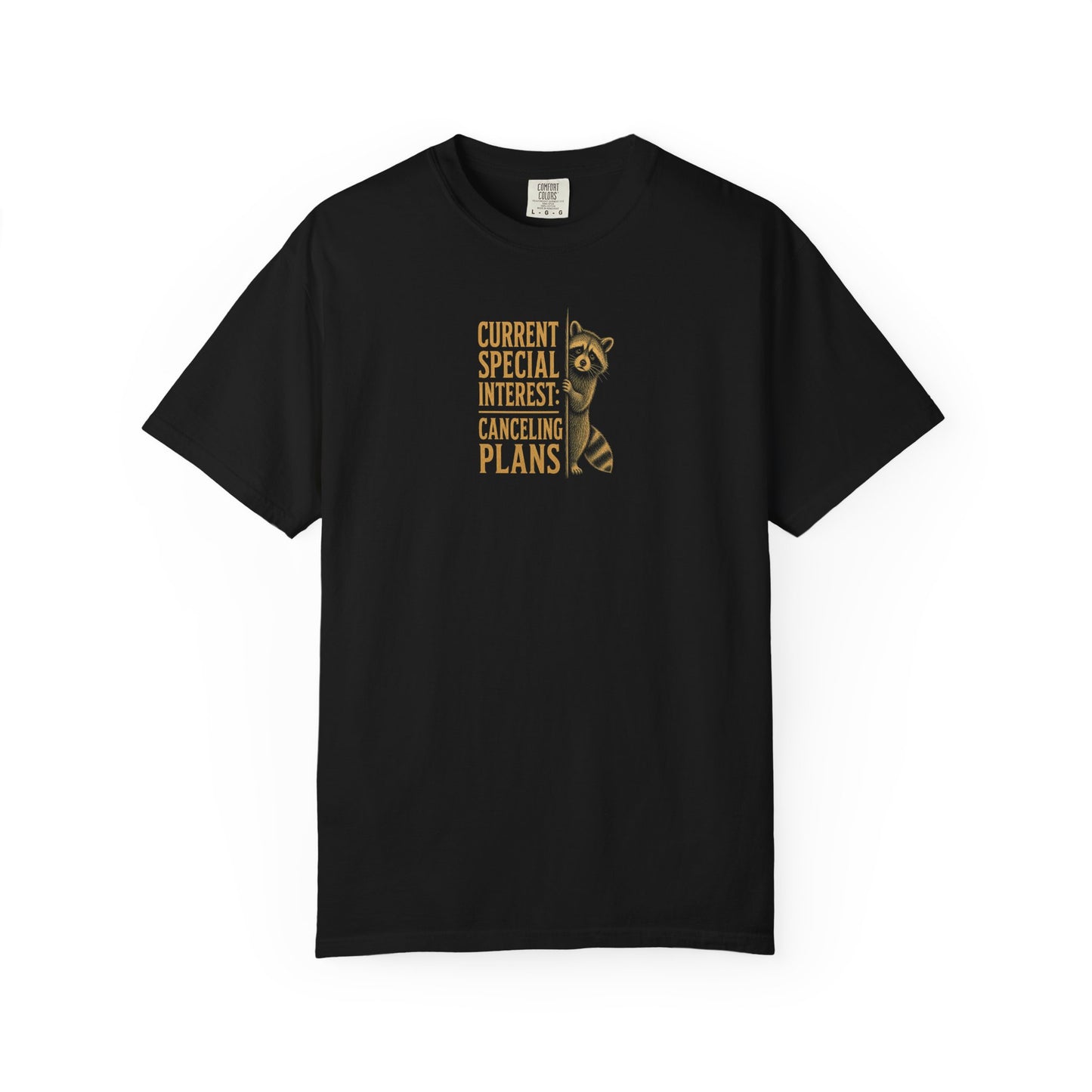 Funny Cancelled Plans T-Shirt — "Current Special Interest: Cancelling Plans" Raccoon Graphic Tee