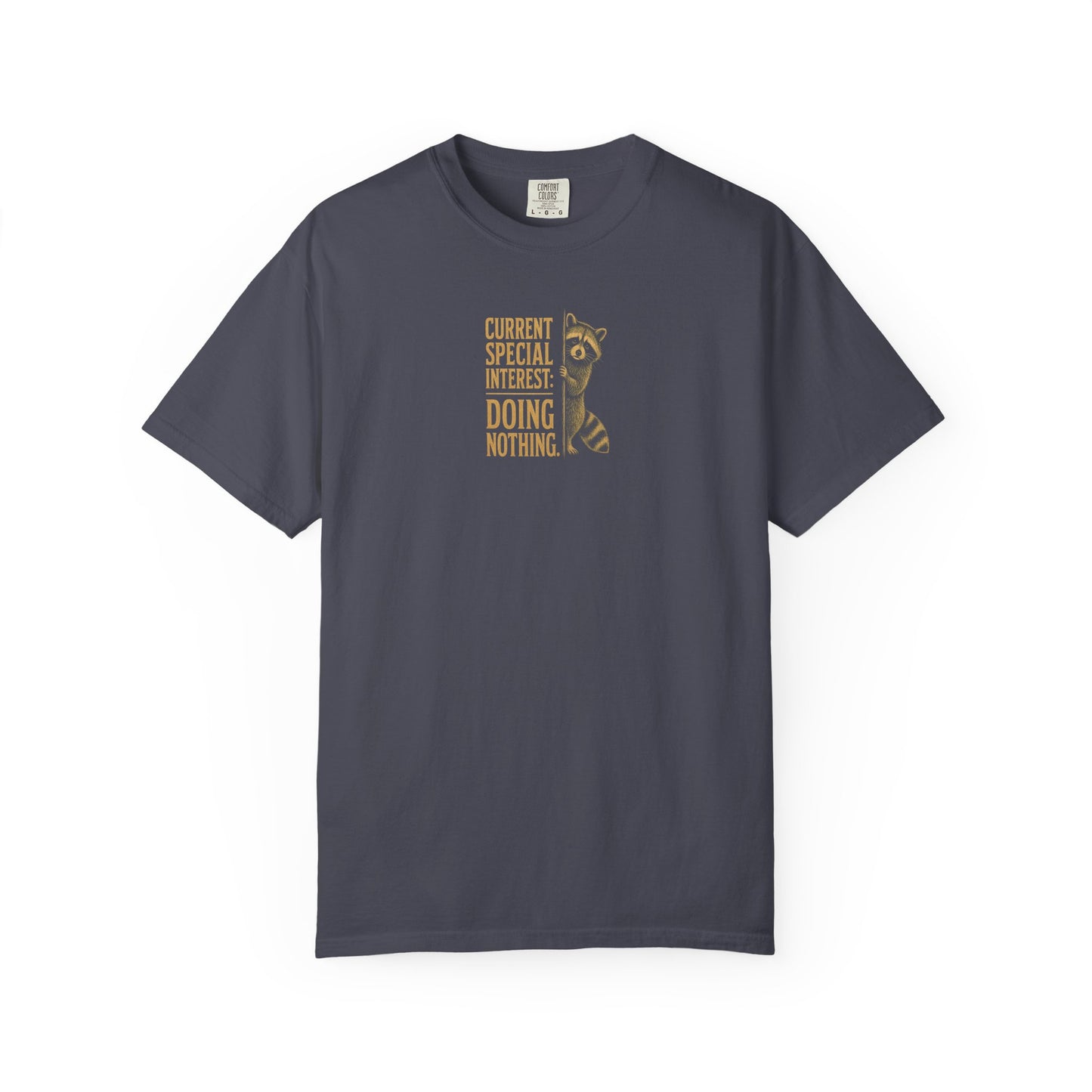 'Current Special Interest: Doing Nothing' Raccoon Graphic Tee