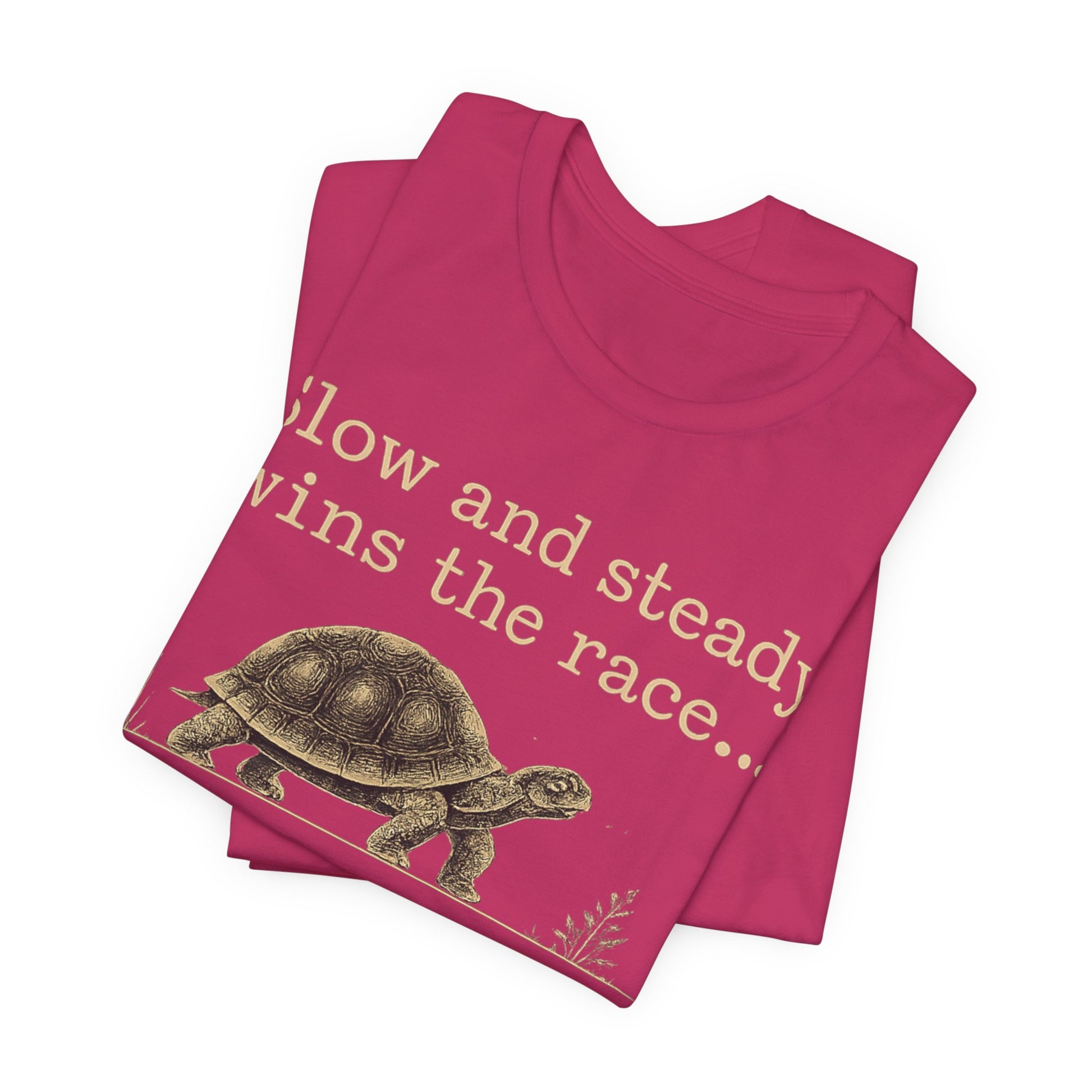 Slow and Steady Wins the Race T-Shirt — Detail-Oriented Turtle Graphic Tee image 42
