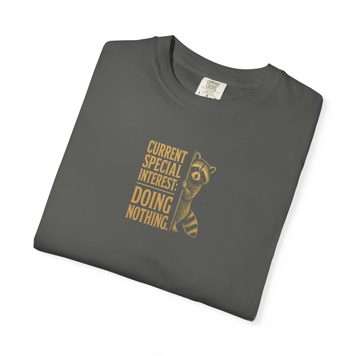 'Current Special Interest: Doing Nothing' Raccoon Graphic Tee