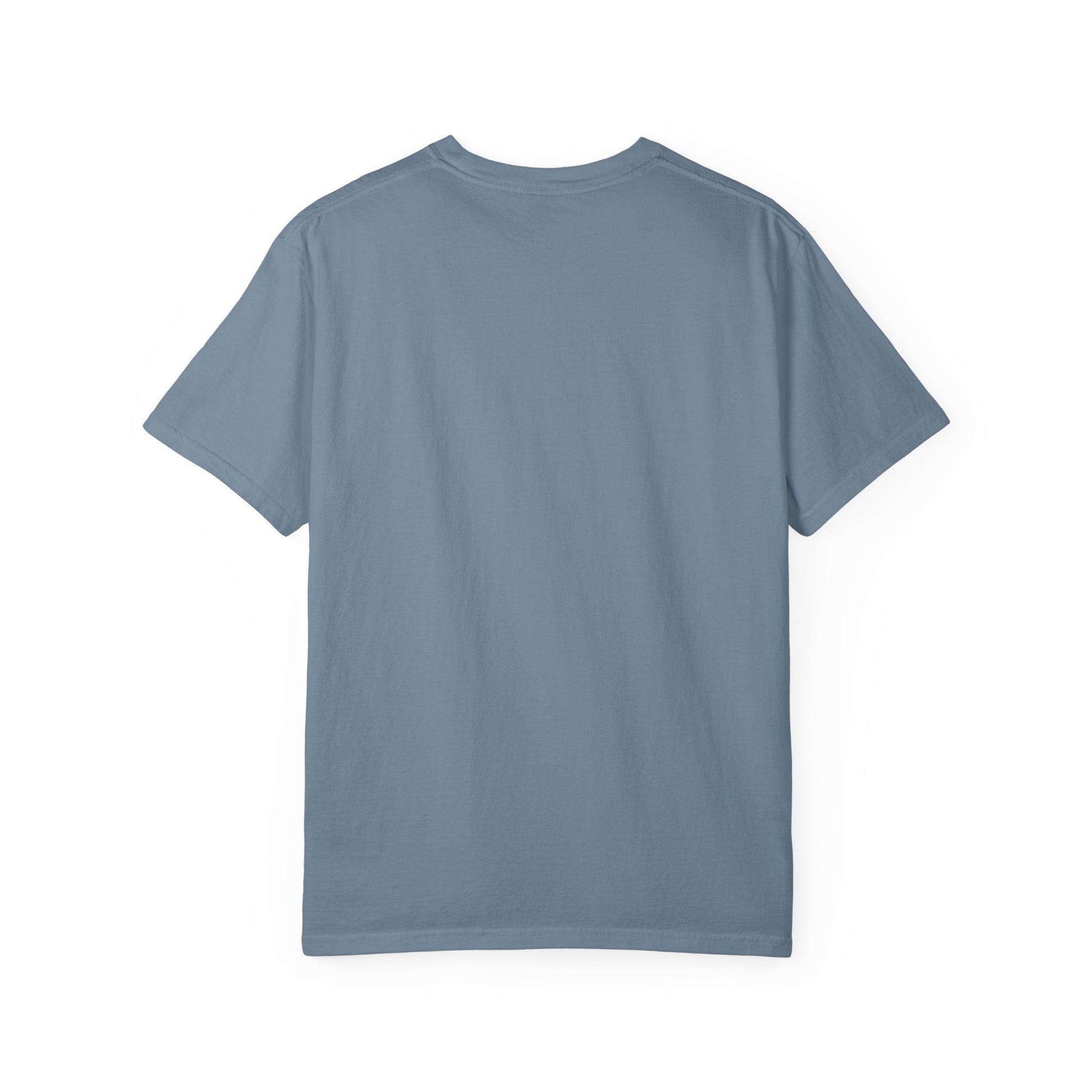 Sometimes I think I Am A Level 2 T-Shirt - Funny Humorous -Spectrum Scale image 37
