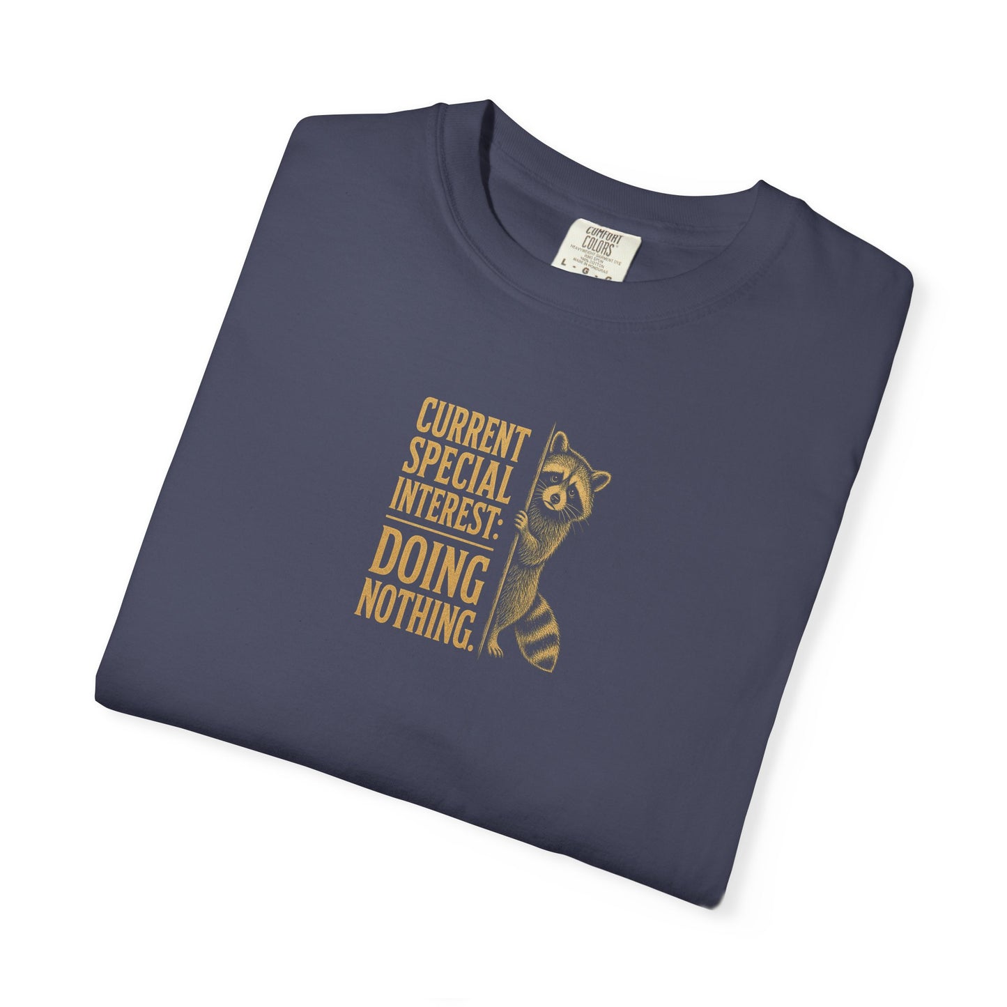 'Current Special Interest: Doing Nothing' Raccoon Graphic Tee