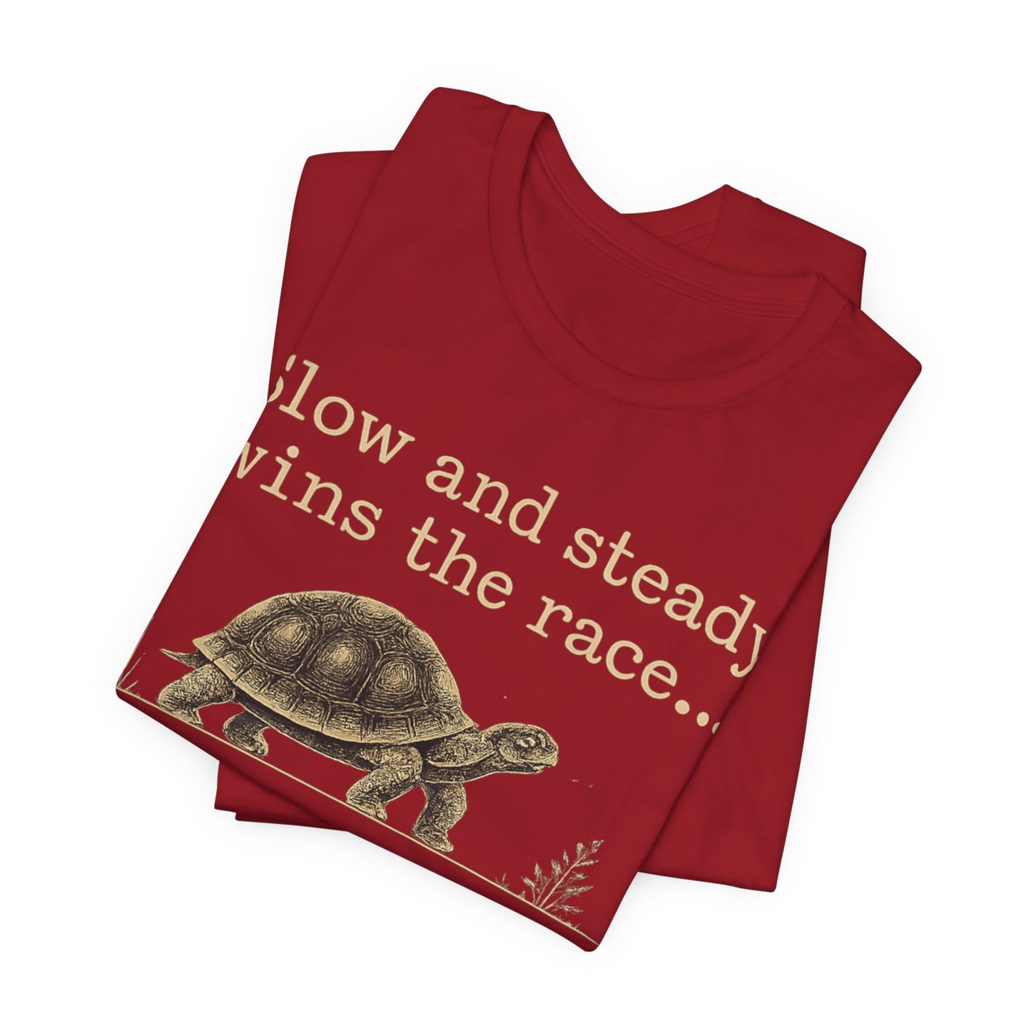 Slow and Steady Wins the Race T-Shirt — Detail-Oriented Turtle Graphic Tee image 50
