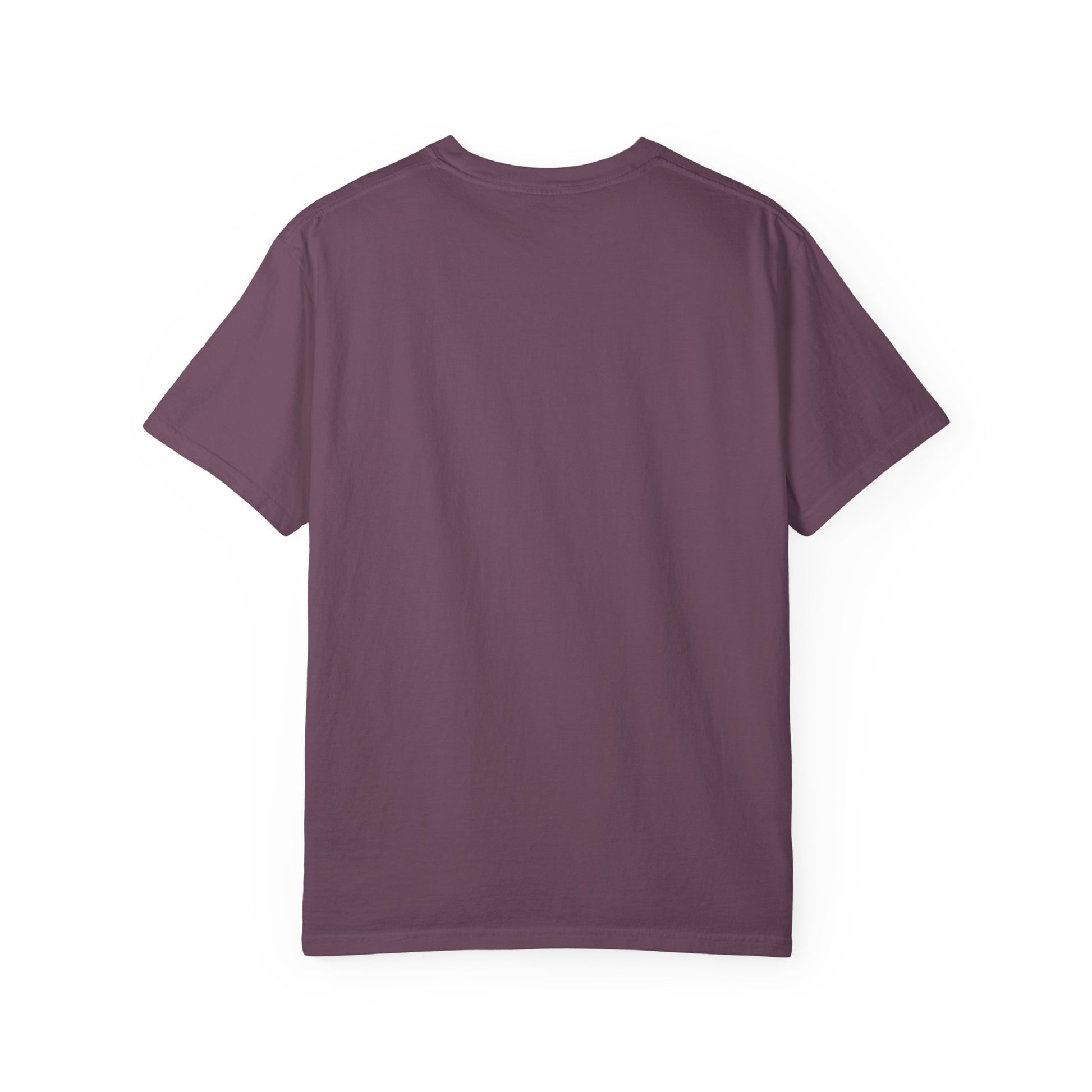 Sometimes I think I Am A Level 2 T-Shirt - Funny Humorous -Spectrum Scale image 53