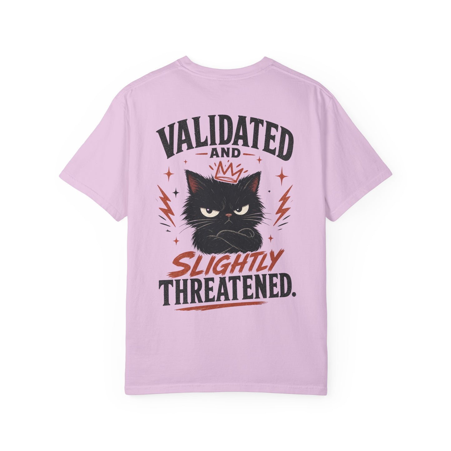 "Validated and Slightly Threatened" Cat Graphic T-Shirt