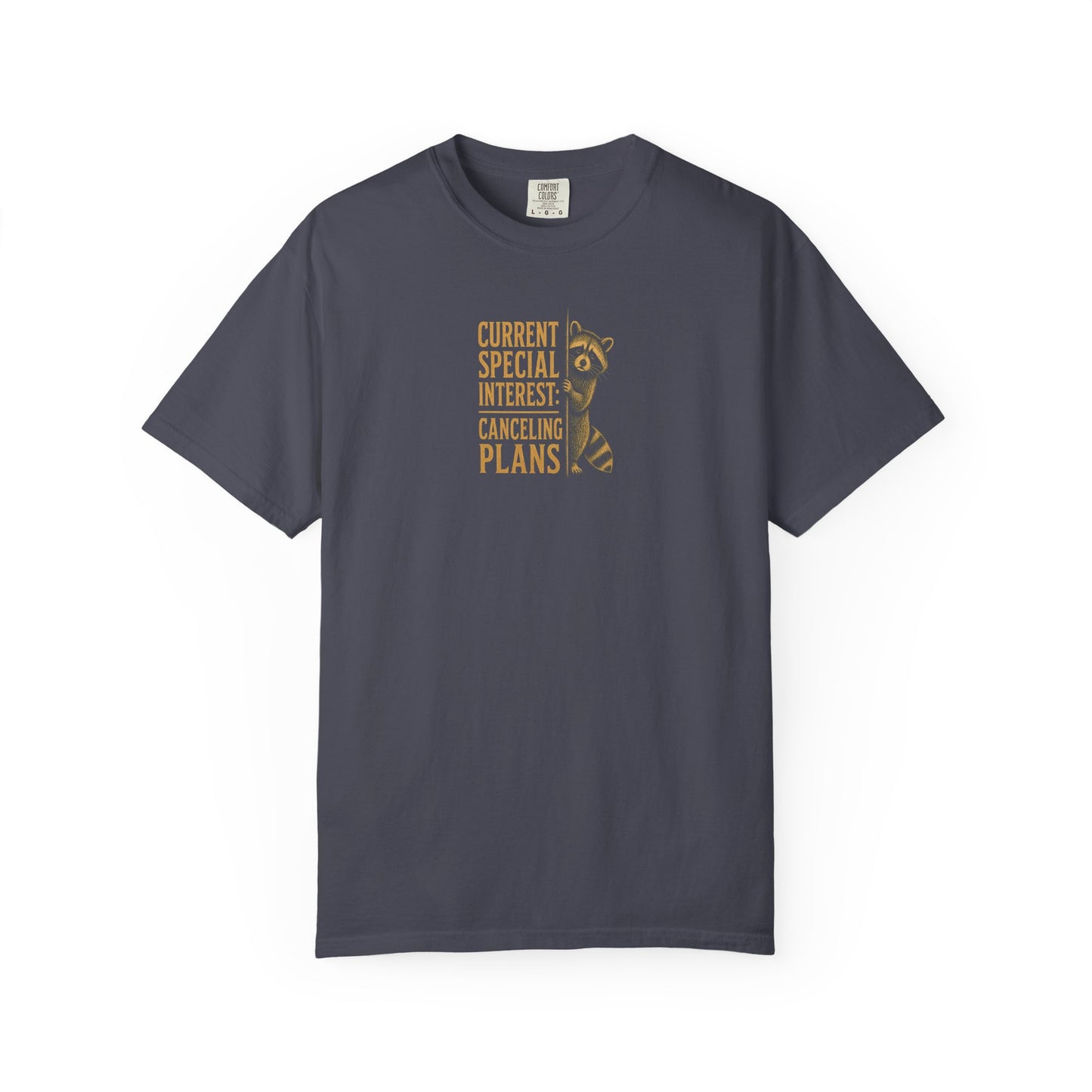 Funny Cancelled Plans T-Shirt — "Current Special Interest: Cancelling Plans" Raccoon Graphic Tee