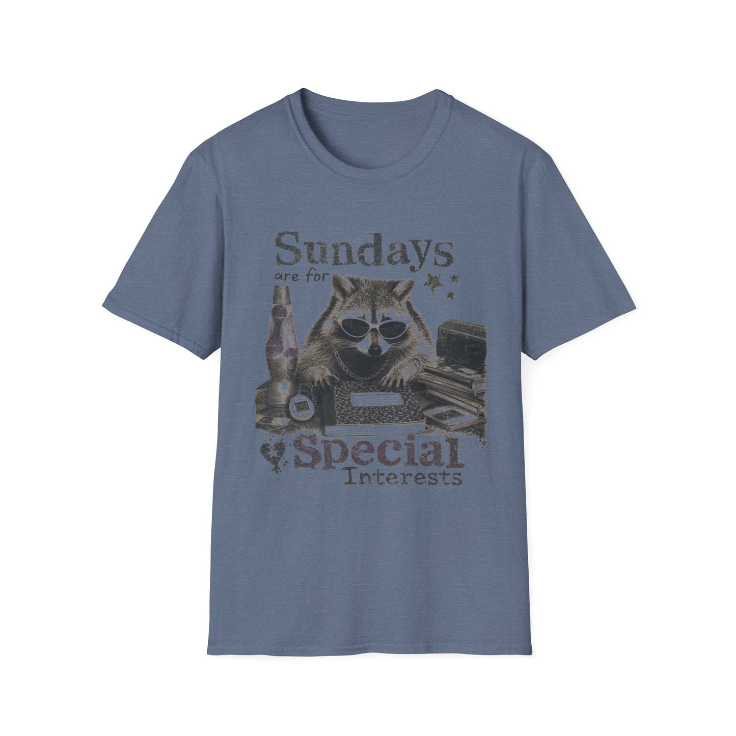Sundays Are For Special Interests T-Shirt — Relaxed Raccoon Graphic Tee