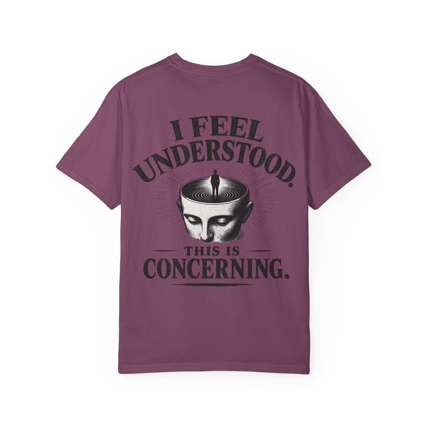 I Feel Understood T-Shirt — 'This Is Concerning' Vintage Graphic Tee