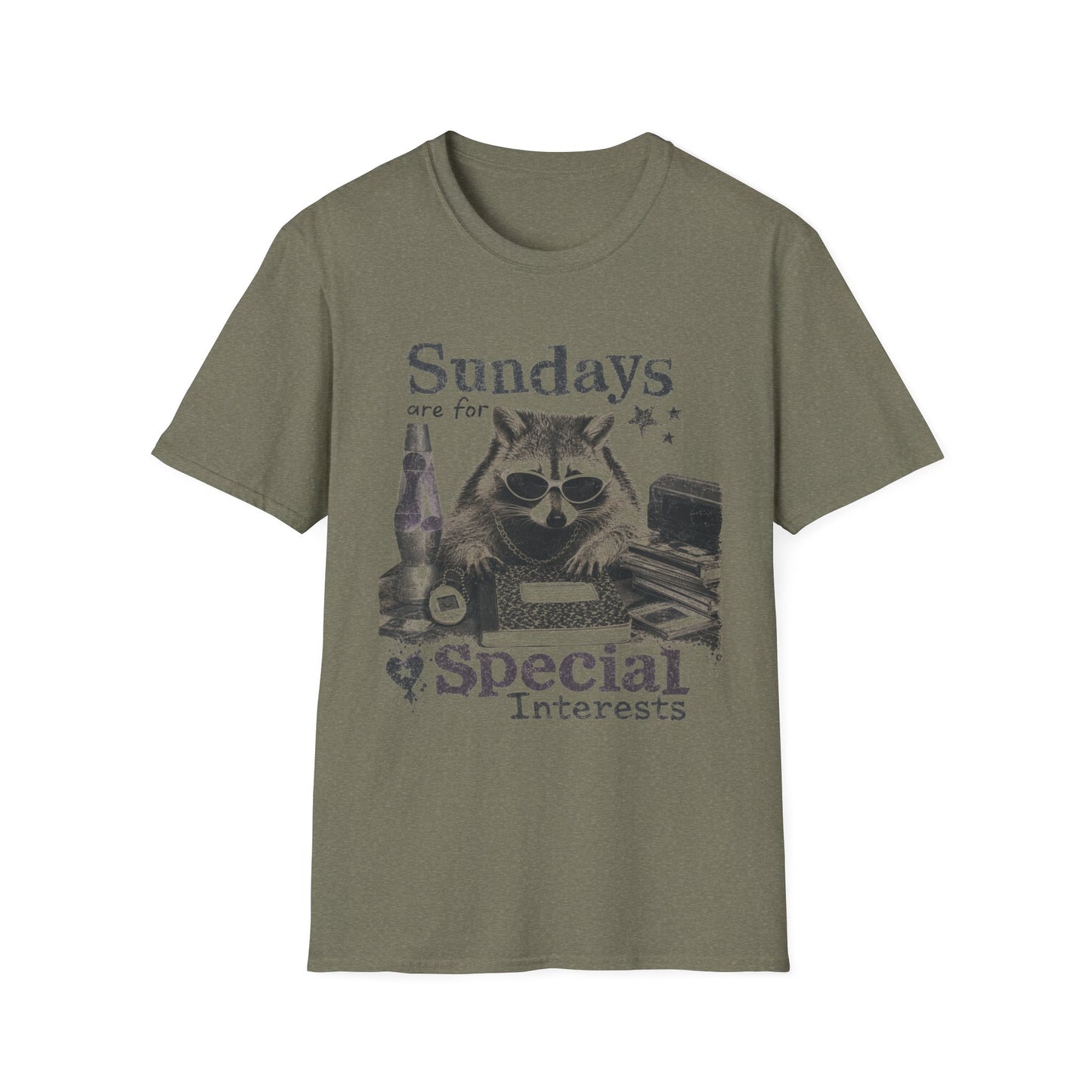 Sundays Are For Special Interests T-Shirt — Relaxed Raccoon Graphic Tee