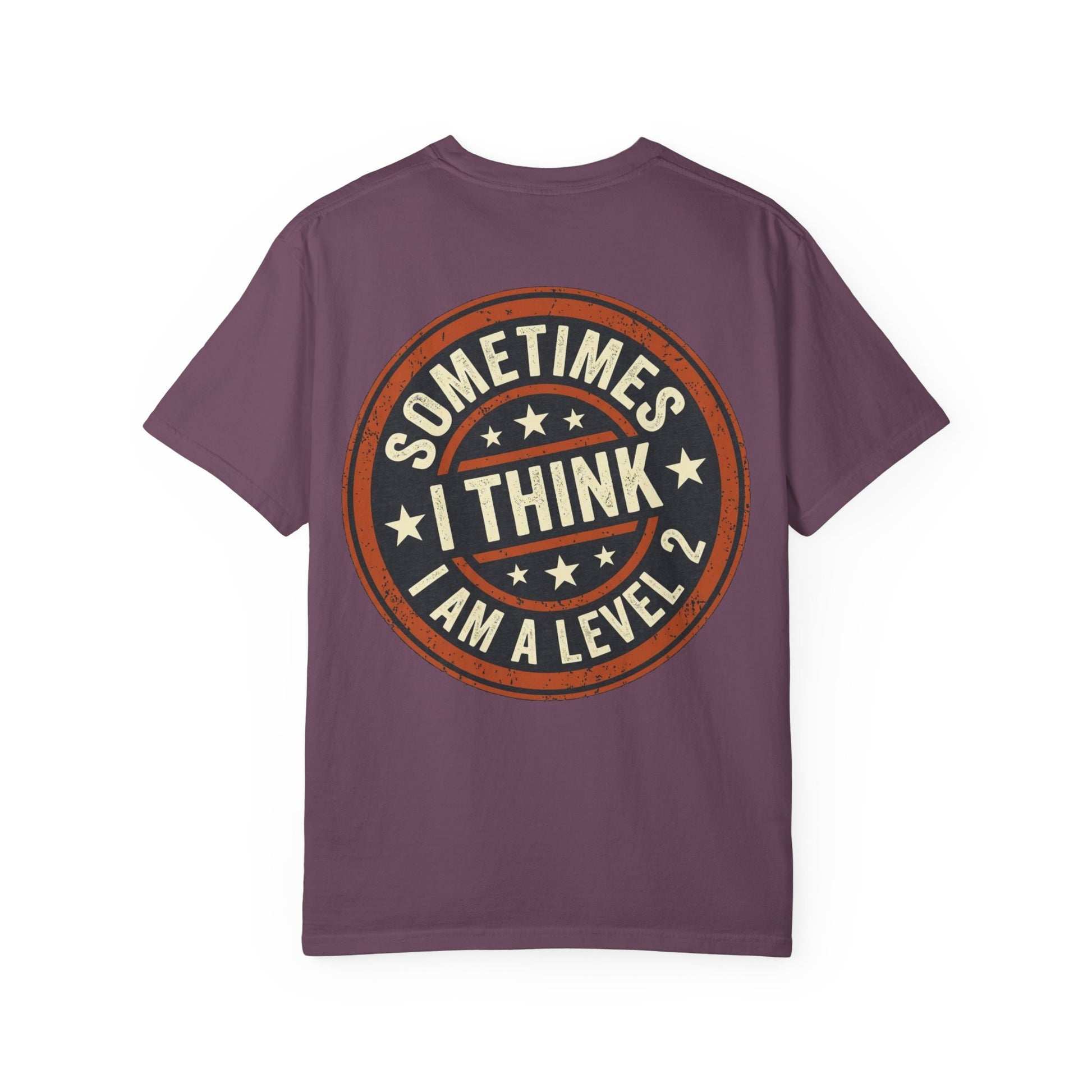 Sometimes I think I Am A Level 2 Tee Shirt -PRINT ON BACK- Comical T-Shirt -ASD Levels image