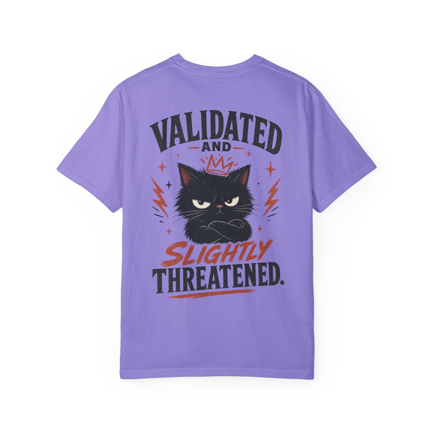 "Validated and Slightly Threatened" Cat Graphic T-Shirt
