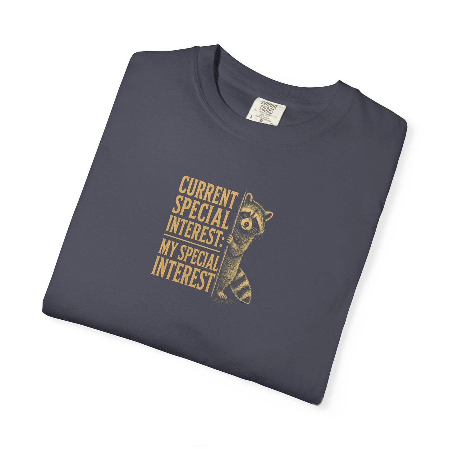 "Current Special Interest: My Special Interest" Raccoon Graphic Tee